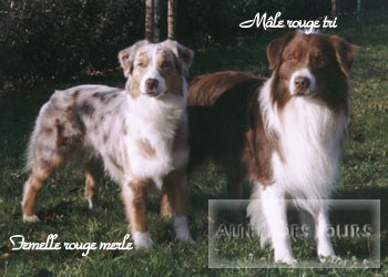 EXEMPLE DE ROUGE