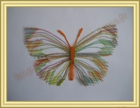 20120211-Papillon01.jpg