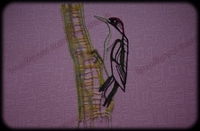 20120307-PicVert_01.jpg